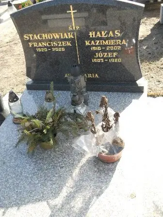 Zdjęcie grobu 100/100