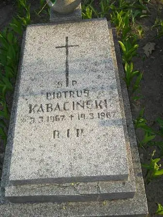 Zdjęcie grobu 7b/100