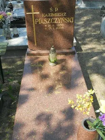 Zdjęcie grobu 30/100