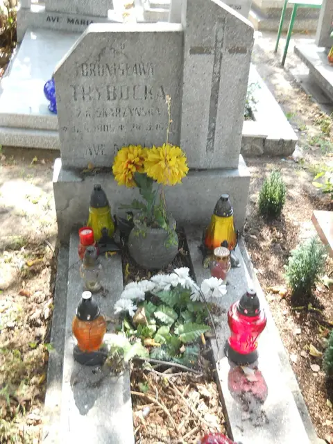 Zdjęcie grobu 18/28341