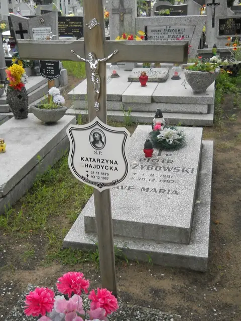 Zdjęcie grobu 22/23582