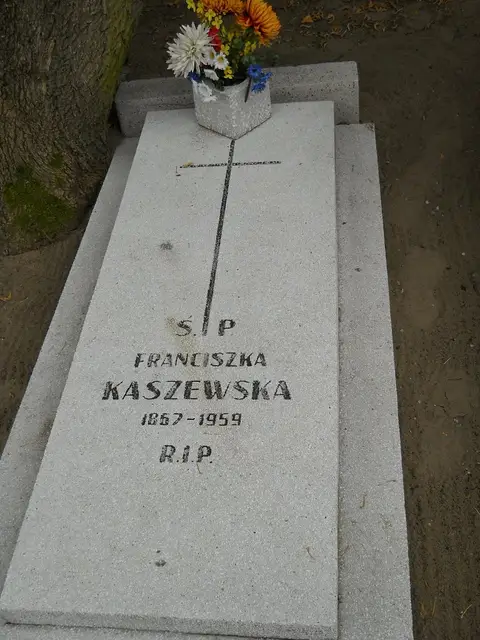 Zdjęcie grobu 12/29336