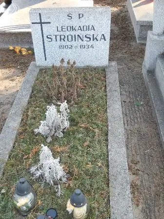 Zdjęcie grobu 2/303