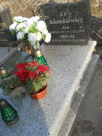Zdjęcie grobu 100/100