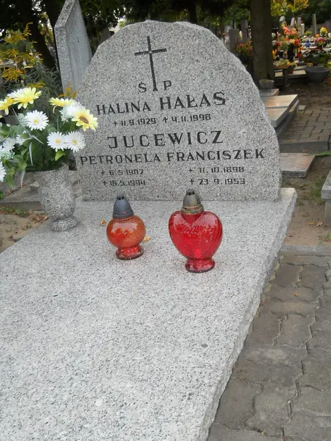 Zdjęcie grobu 13/29004