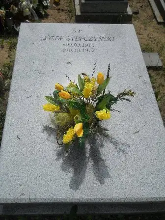 Zdjęcie grobu 41/36