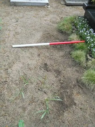 Zdjęcie grobu 33/100