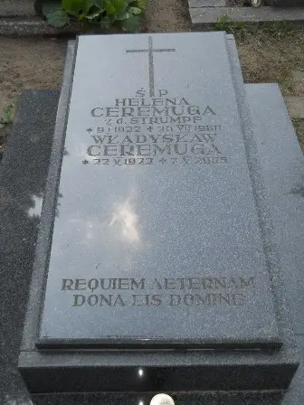 Zdjęcie grobu 35/409,410