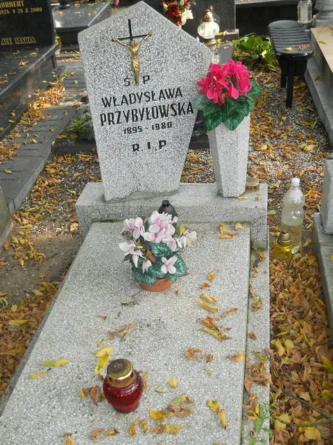 Zdjęcie grobu 15/26703