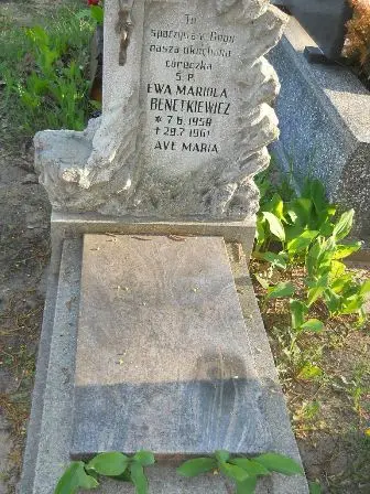 Zdjęcie grobu 7b/34