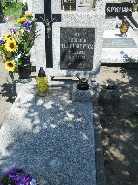 Zdjęcie grobu 8A/10089