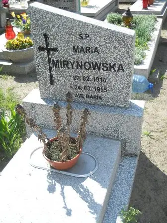 Zdjęcie grobu 20/372