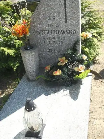 Zdjęcie grobu 46/100