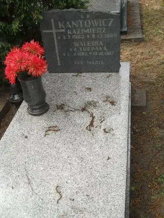 Zdjęcie grobu 38/88