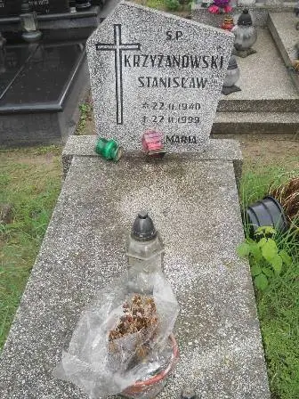 Zdjęcie grobu 36/100