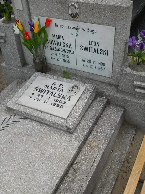 Zdjęcie grobu 8/10482