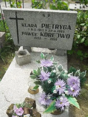 Zdjęcie grobu 20/100