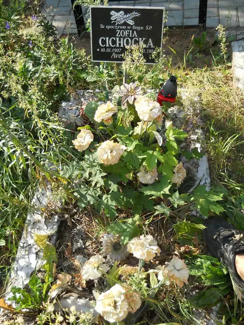 Zdjęcie grobu 17/28007