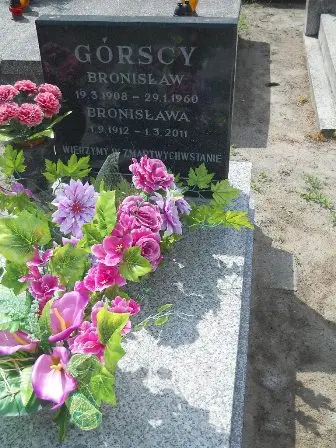 Zdjęcie grobu 20/481