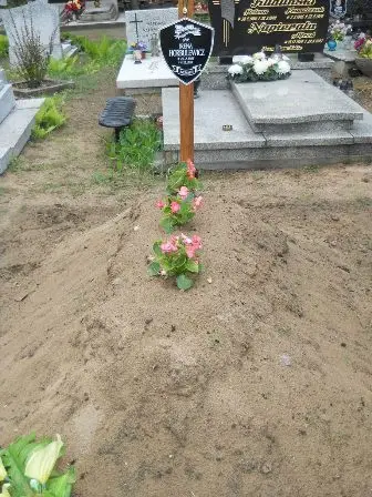 Zdjęcie grobu 38/100
