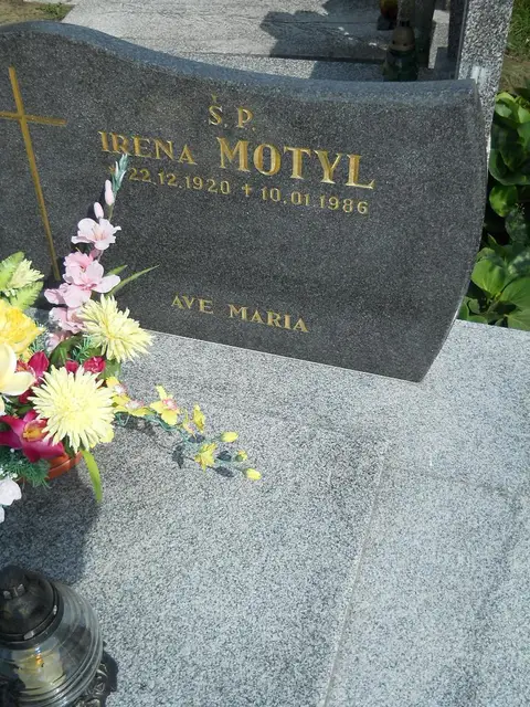 Zdjęcie grobu 26/22878