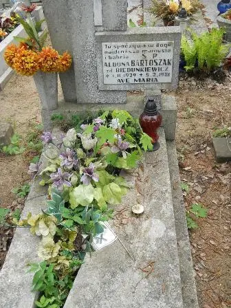 Zdjęcie grobu 32/235