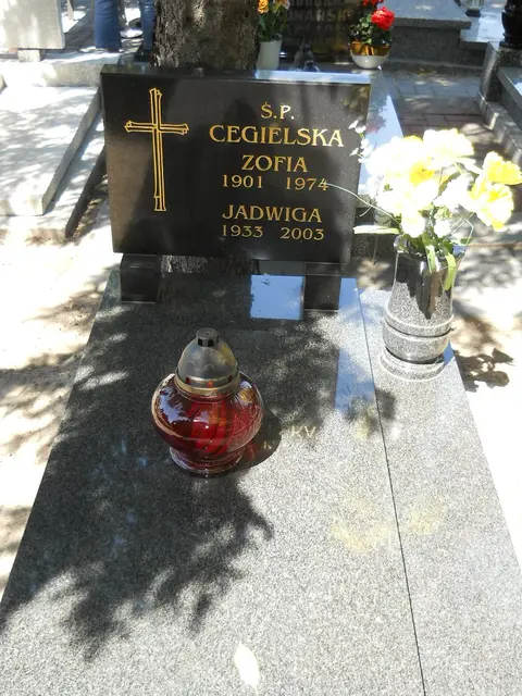 Zdjęcie grobu 8A/10252