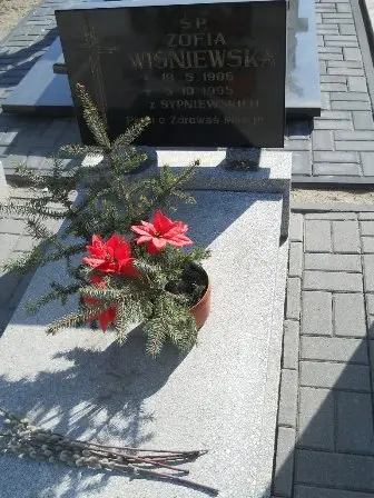 Zdjęcie grobu 3/197