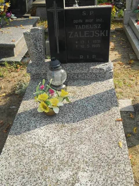 Zdjęcie grobu 15/26564