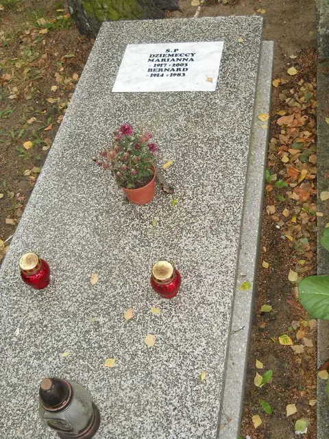 Zdjęcie grobu 16/26102
