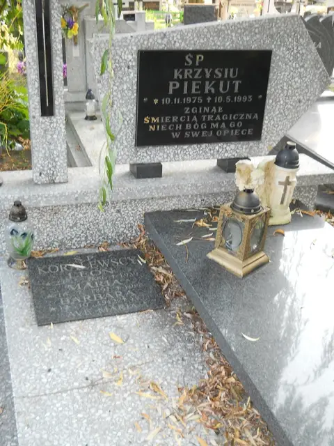 Zdjęcie grobu 14/27838