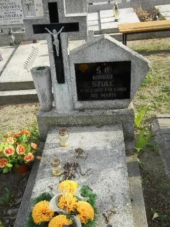 Zdjęcie grobu 9/260