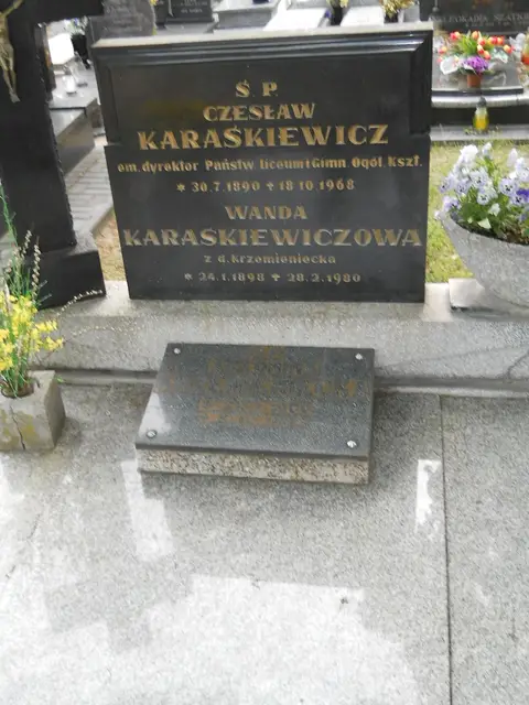 Zdjęcie grobu 8/10709