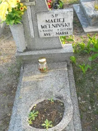 Zdjęcie grobu 7b/100