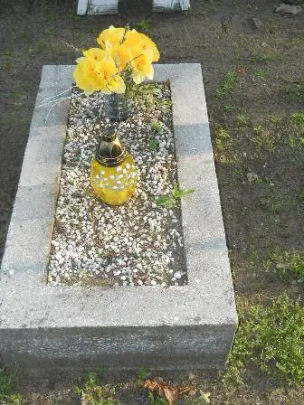 Zdjęcie grobu 7b/100