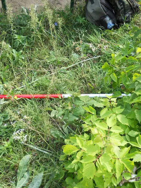 Zdjęcie grobu 16/26394