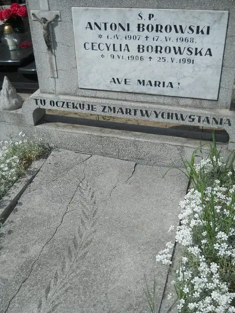 Zdjęcie grobu 7/11433