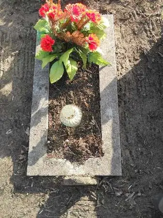 Zdjęcie grobu 100/100