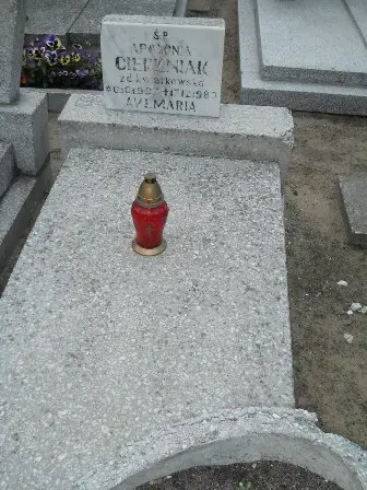 Zdjęcie grobu 43/94