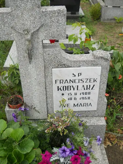 Zdjęcie grobu 22/23465