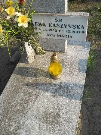 Zdjęcie grobu 45/116