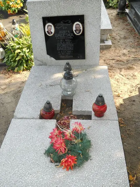 Zdjęcie grobu 14/27738