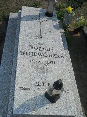 Zdjęcie grobu 42/105