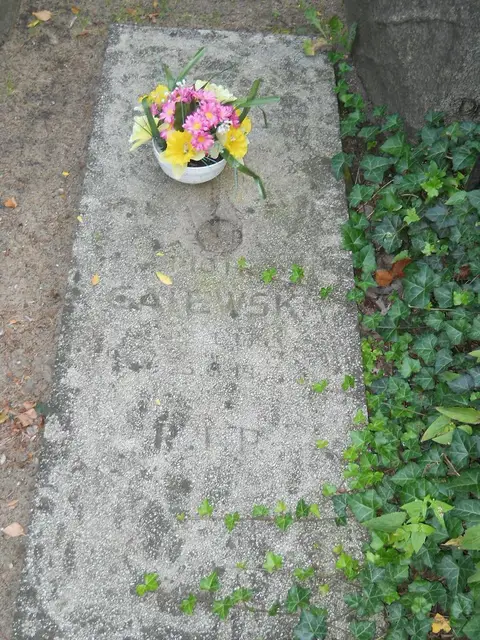 Zdjęcie grobu 14/26922