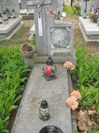 Zdjęcie grobu 38/81