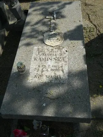 Zdjęcie grobu 29/115