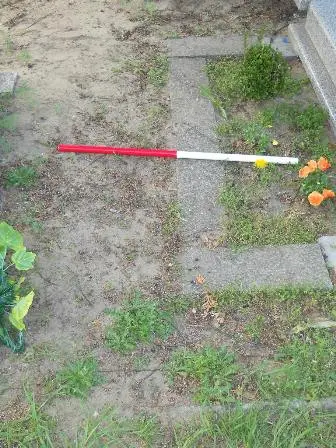 Zdjęcie grobu 42/4