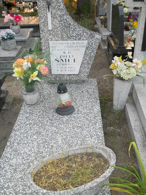 Zdjęcie grobu 13/29023