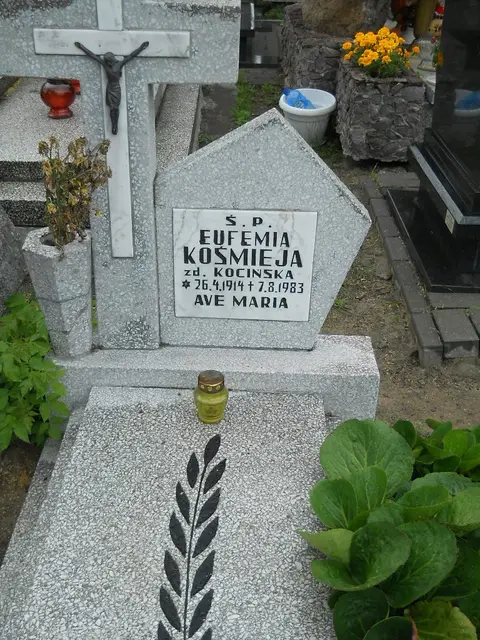 Zdjęcie grobu 5/22498