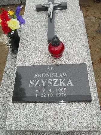 Zdjęcie grobu 36/100